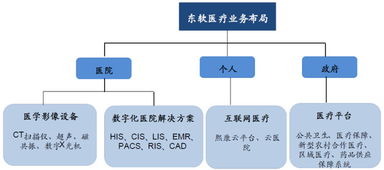 東軟集團(tuán) 深耕醫(yī)療信息化，構(gòu)建“三駕馬車”驅(qū)動的數(shù)字未來
